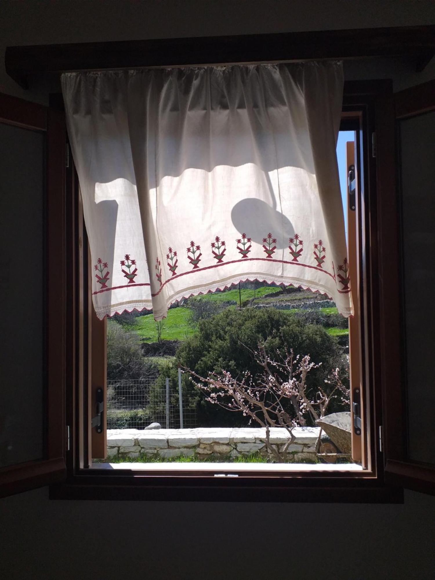 Imellos Aperathos Room photo
